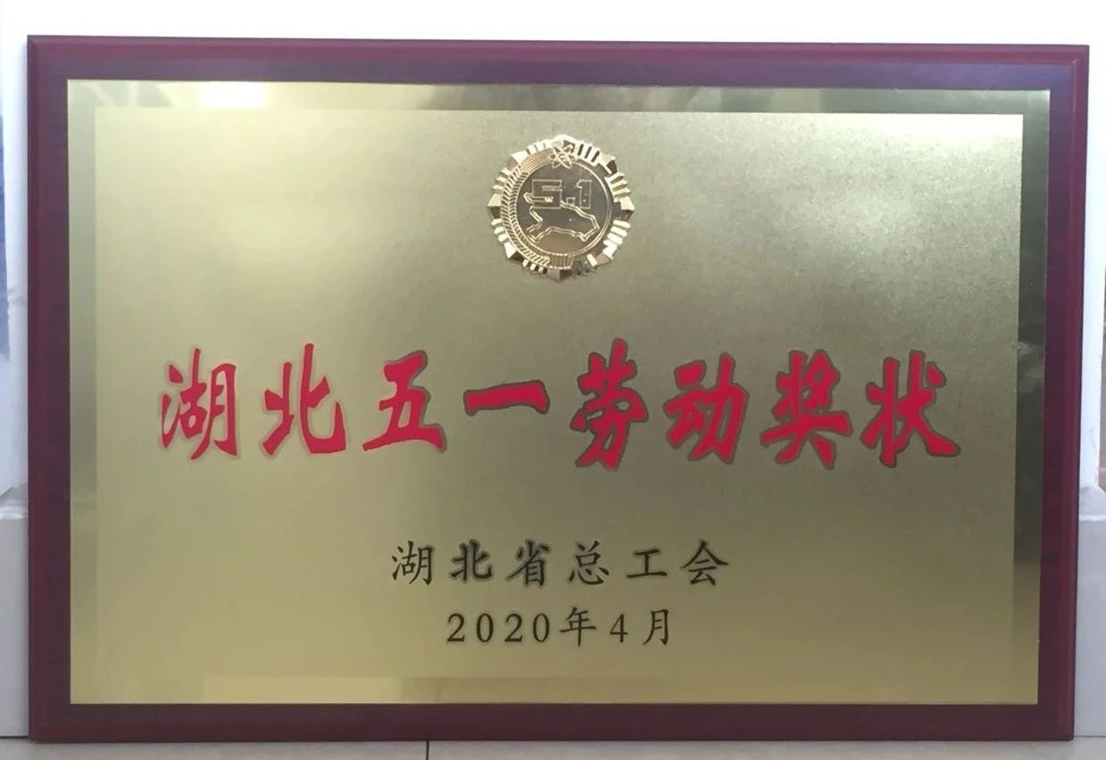 喜讯||众博买球_众博买球重工又获省级殊荣